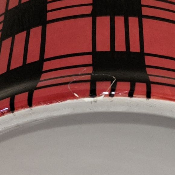 Bear Storage Container - Picture 7 of 7